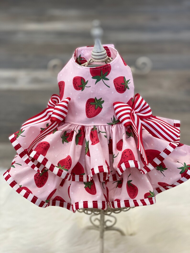 Strawberry Sweetie Dog Dress Customizable to Your Pets Etsy