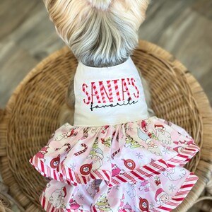 May include: A dog wearing a white and pink Christmas dress. The dress has the text "SANTA'S favorite" in red. The skirt of the dress features a pattern of Santa Claus, Christmas trees, and candy canes. The dress has red and white striped trim.