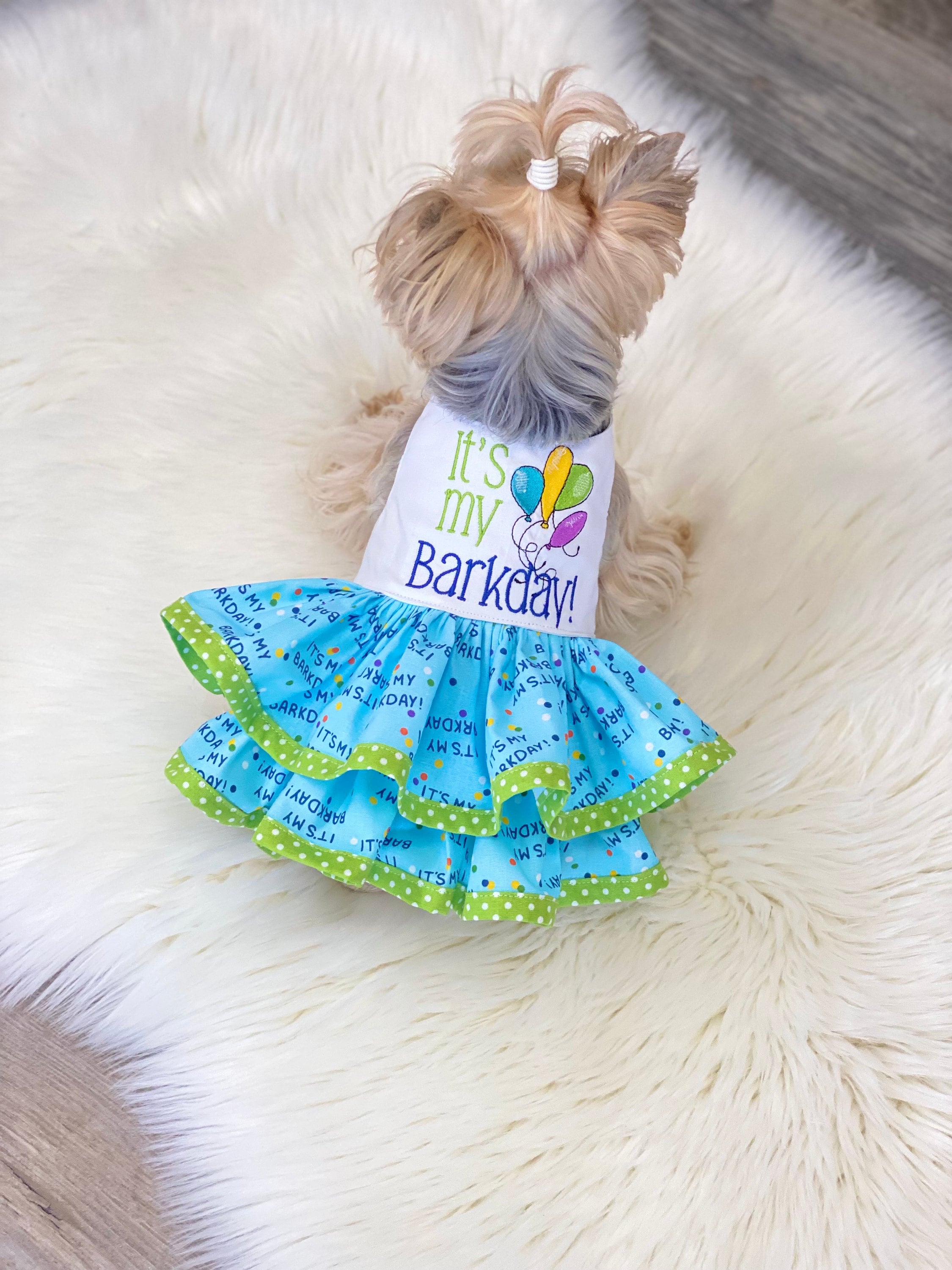 dog first birthday dress Woodlands Gotcha Day Dog Birthday Outfit #1- tee/hat / XS- 3-7 lbs main image 1