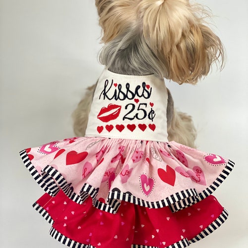Birthday Girl Dog Dress Customizable to Your Pets Etsy