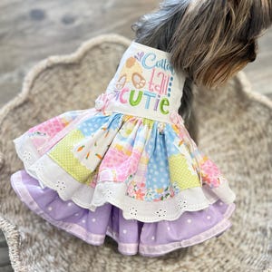 qvc holiday dresses Funny Christmas Dog Dress main image 1