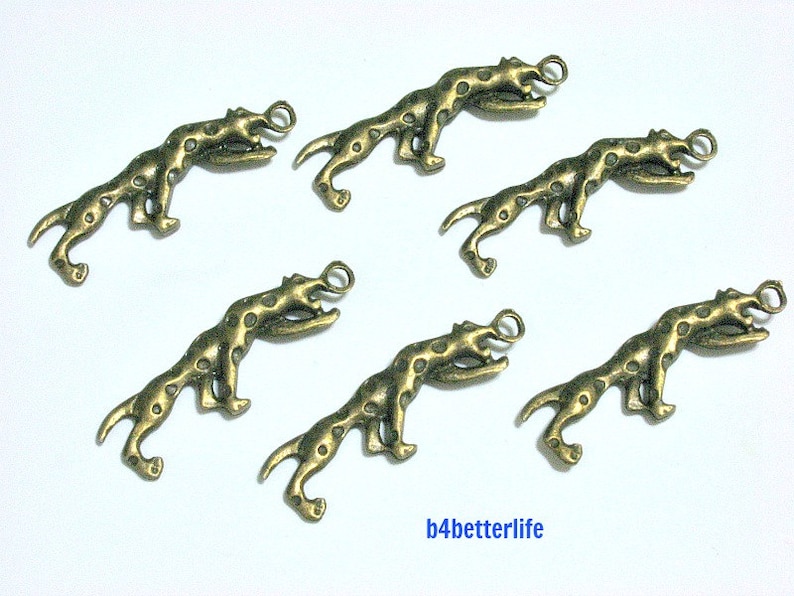 #BC2876. Lot of 24pcs Antique Bronze Tone Leopard Double Sided Metal Charms