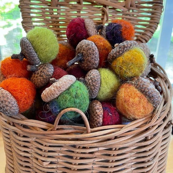Needle felted acorns, Maine gathered acorn caps