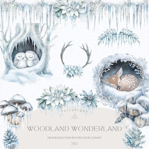 Clipart del paese delle meraviglie invernale Bosco blu congelato Foresta innevata Animali addormentati carini Alberi Foglie Ghiaccio Gelo Magia invernale Uso commerciale Clipart