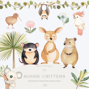 Clipart di simpatici animali australiani, acquerello stravagante, canguro, koala, fauna selvatica australiana, PNG, uso commerciale, arte per bambini, compleanno, file di sublimazione