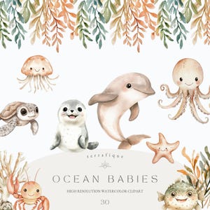 Schattige baby zeedieren clipart onderwater oceaan Sealife grillige aquarel dieren kwekerij verjaardag babyshower commercieel gebruik clipart set