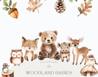 Clipart de animales del bosque en acuarela, decoración para baby shower (PNG)