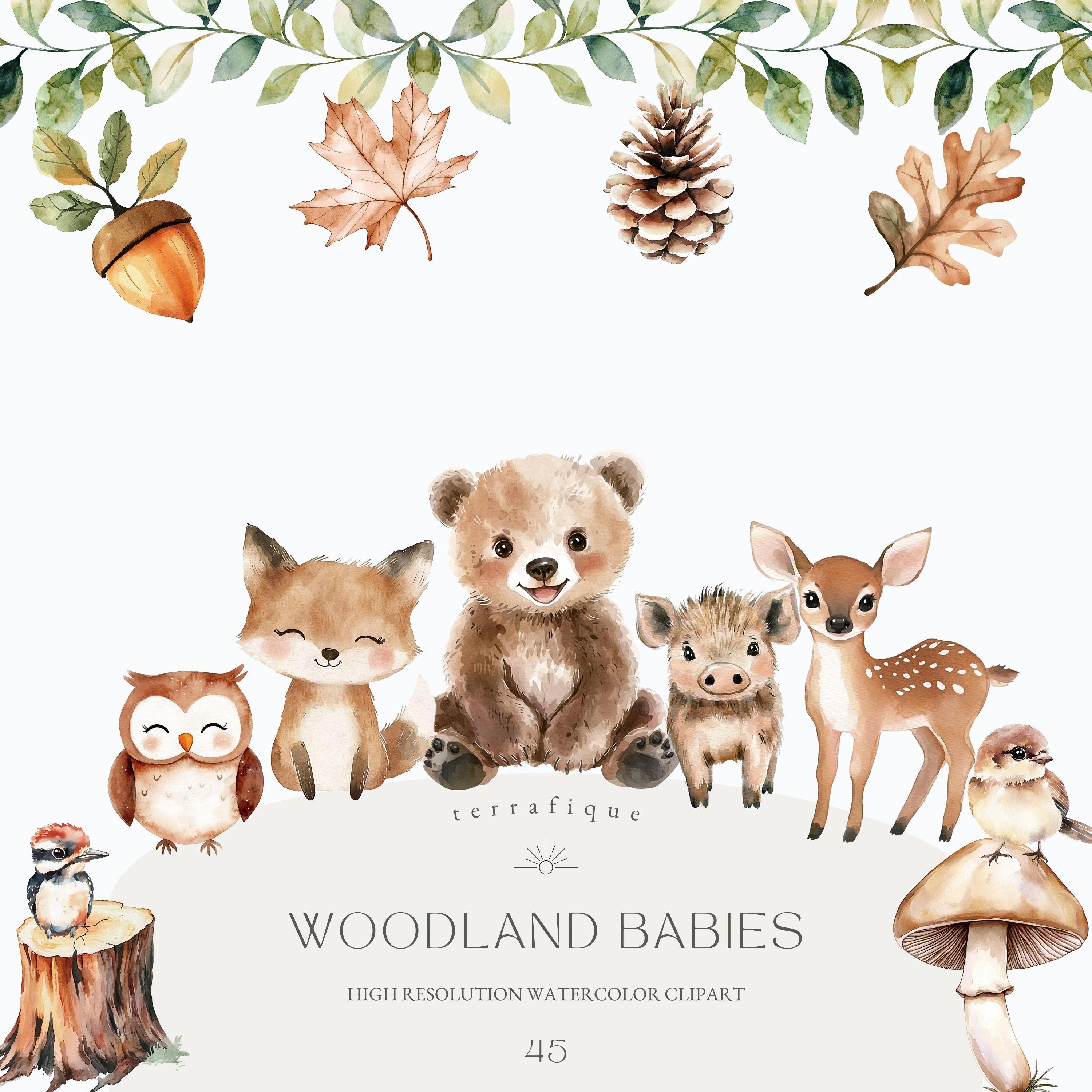 Watercolor Woodland Animals Clipart, Baby Shower Nursery Decor (PNG) - Etsy