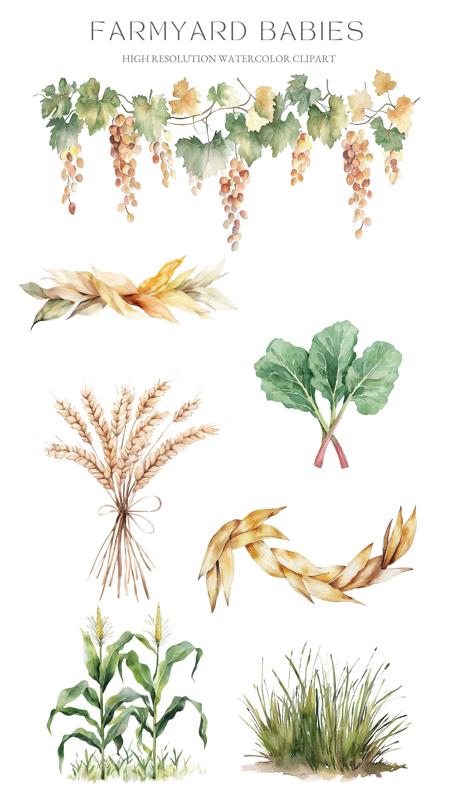 Watercolor Farm Animals Clipart: Baby Shower Nursery Art (PNG Digital ...