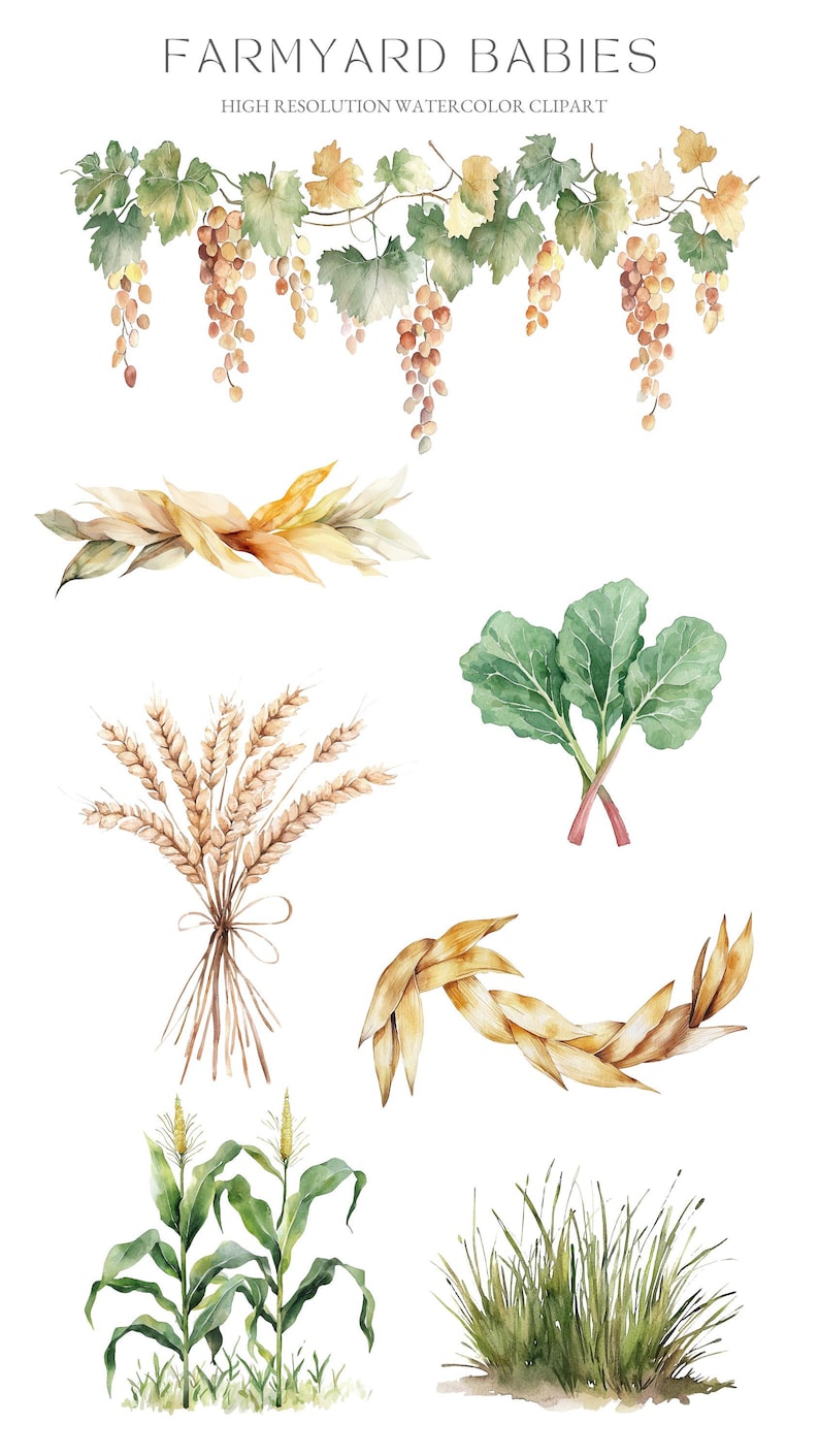 Watercolor Farm Animals Clipart: Baby Shower Nursery Art (PNG Digital ...