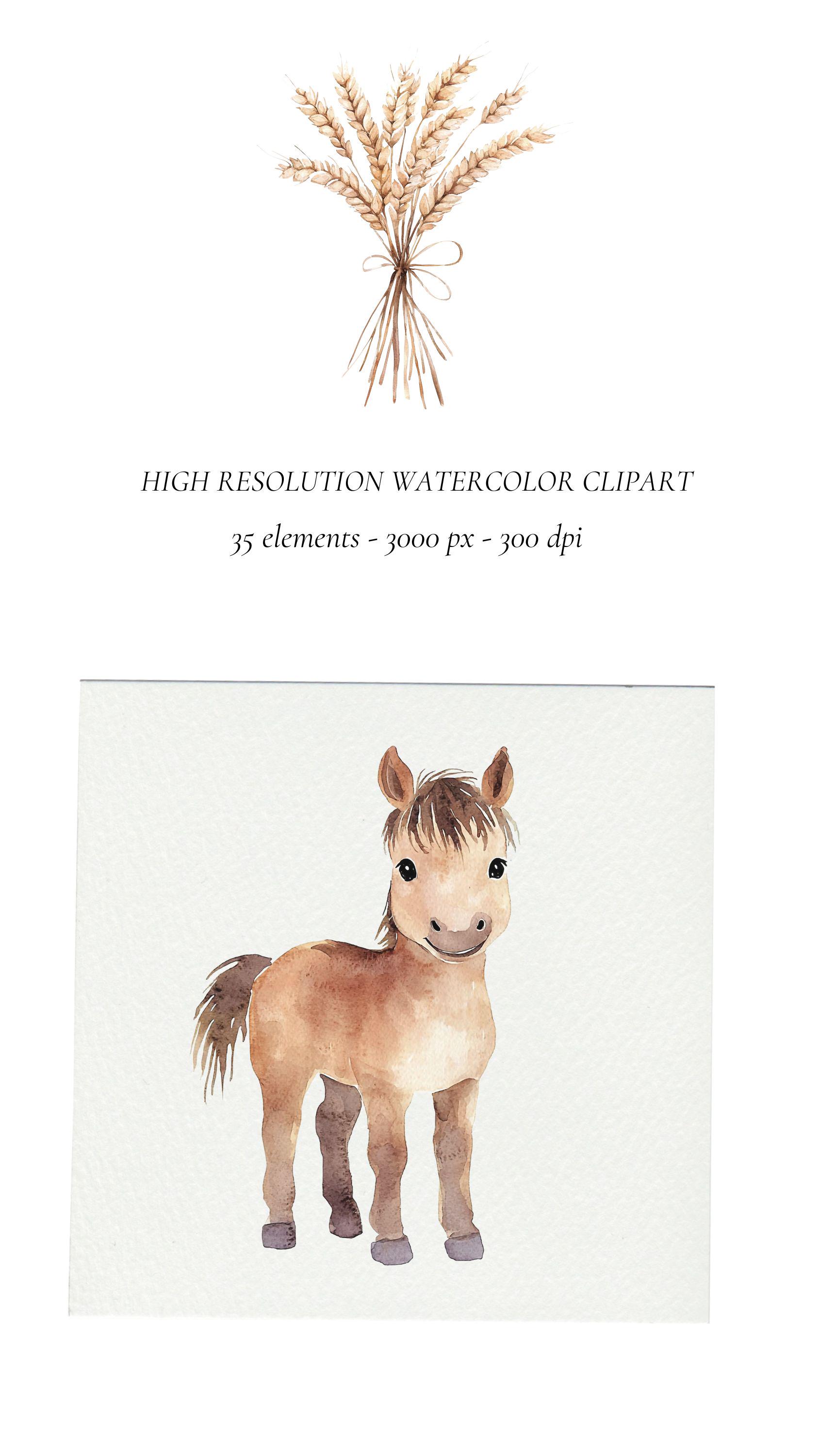 Watercolor Farm Animals Clipart: Baby Shower Nursery Art (PNG Digital ...