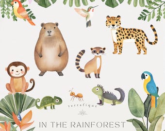 May include: Watercolor clipart featuring various rainforest animals, including a monkey, leopard, parrot, and hummingbird, set against a backdrop of tropical foliage. The text "IN THE RAINFOREST" is displayed below the illustrations.