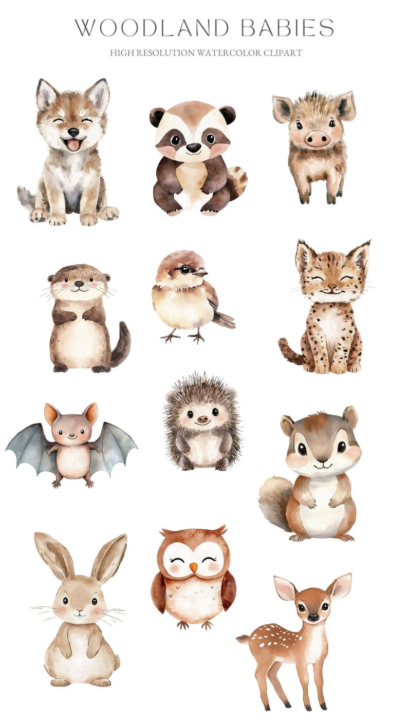 Watercolor Woodland Animals Clipart, Baby Shower Nursery Decor (PNG) - Etsy