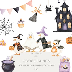 Clipart di Halloween con oca sciocca, vintage, gotico, stravagante, carino, acquerello, uso commerciale, festa di Halloween, spaventoso, pastello, oche, sublimazione, PNG