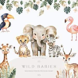 Joli bébé animaux Clipart aquarelle Safari faune pépinière Boho jungle tropicale PNG usage commercial Invitations d'anniversaire Shower de bébé