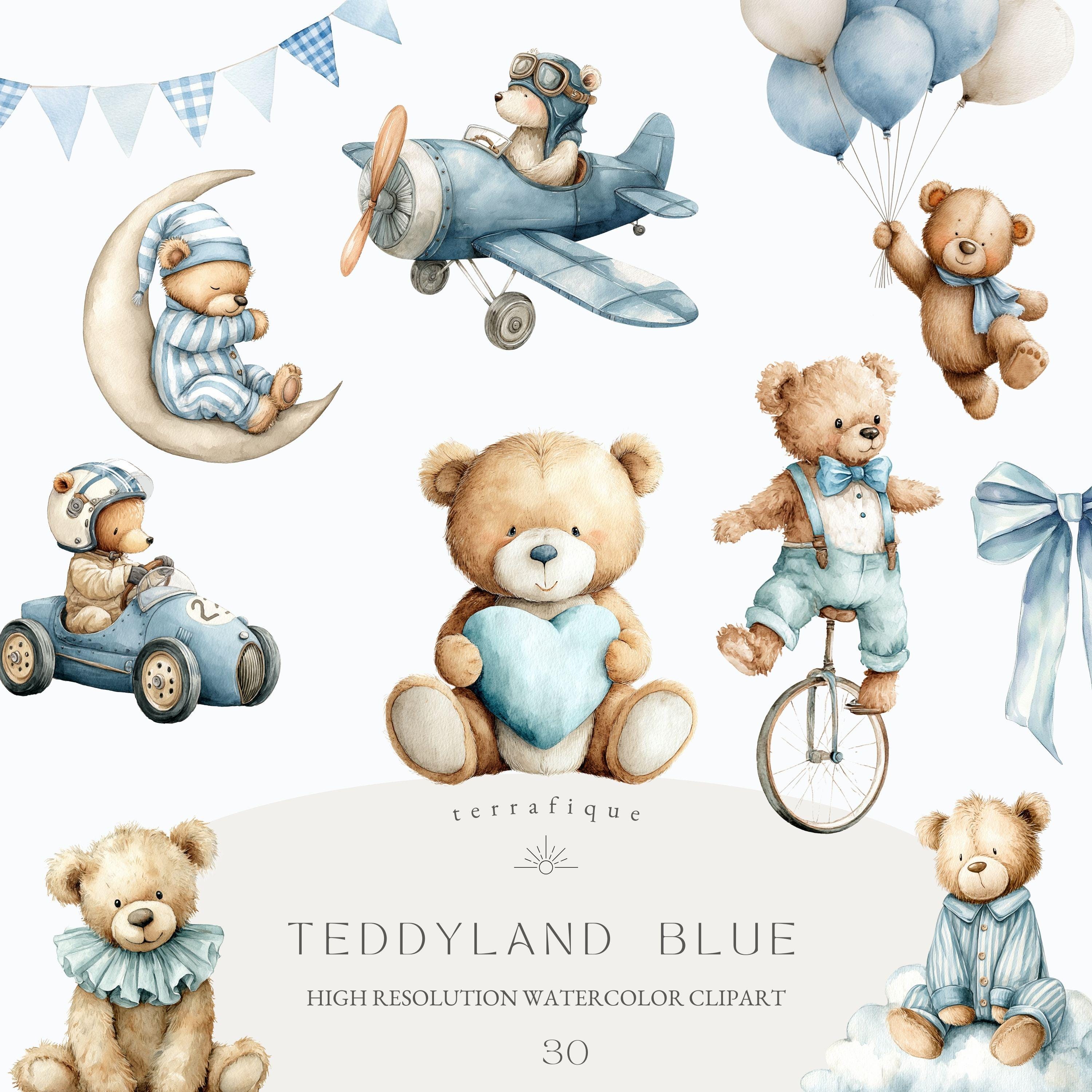 Orsetto disegno Italia