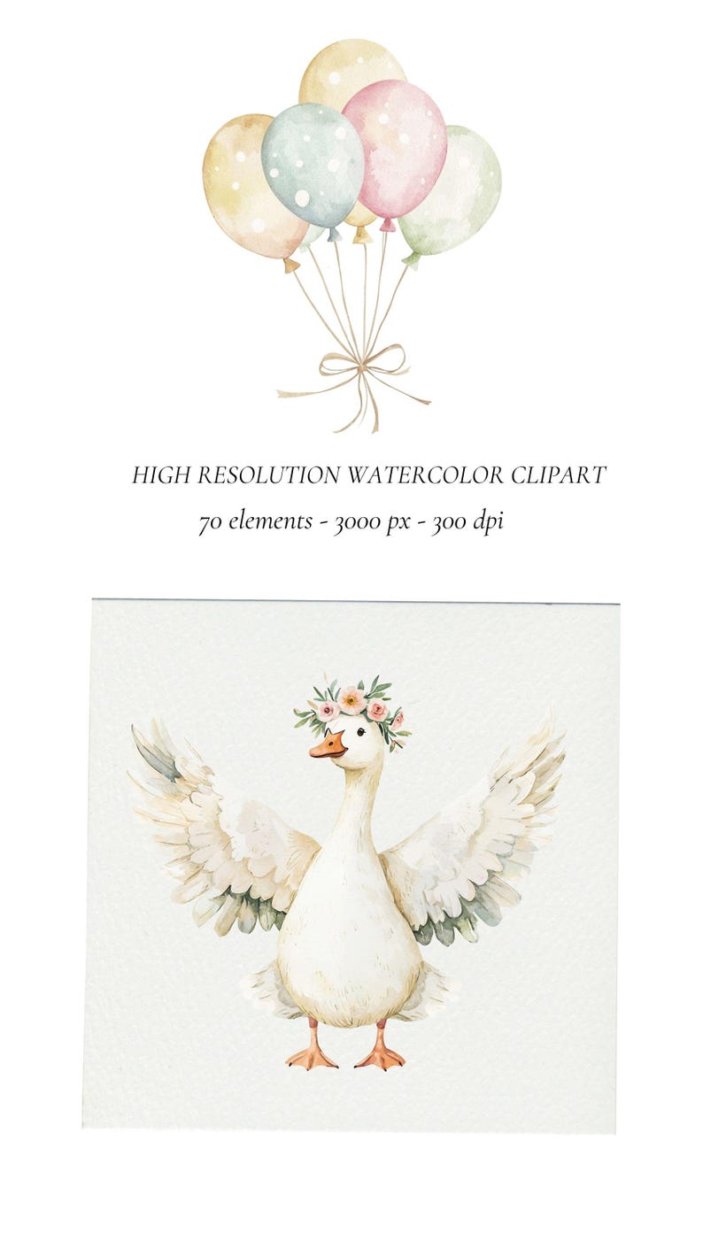 May include: A watercolor illustration of a white goose with outstretched wings wearing a pink and white flower crown. The goose is standing on a white background.