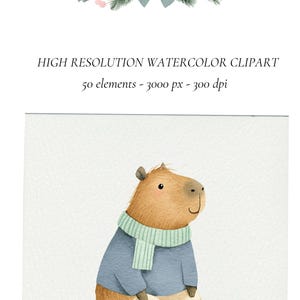 May include: Watercolor clipart featuring a capybara wearing a blue sweater, a green and white striped scarf, and green boots. The image also includes a decorative pine branch with a blue bow and text that reads "HIGH RESOLUTION WATERCOLOR CLIPART".