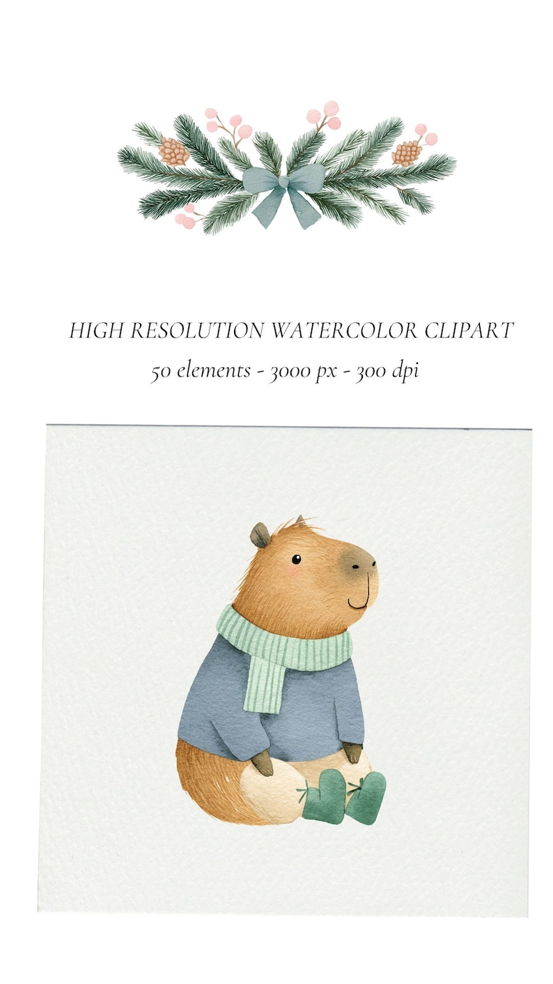 May include: Watercolor clipart featuring a capybara wearing a blue sweater, a green and white striped scarf, and green boots. The image also includes a decorative pine branch with a blue bow and text that reads "HIGH RESOLUTION WATERCOLOR CLIPART".