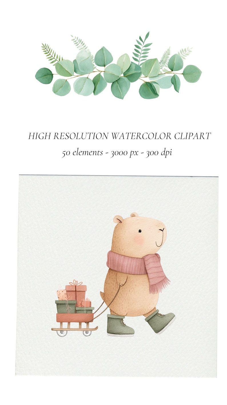 May include: Watercolor clipart featuring a cute capybara wearing a pink scarf and green boots, pulling a cart of gifts. The image includes text: "HIGH RESOLUTION WATERCOLOR CLIPART 50 elements - 3000 px - 300 dpi". Green eucalyptus and fern leaves are at the top.