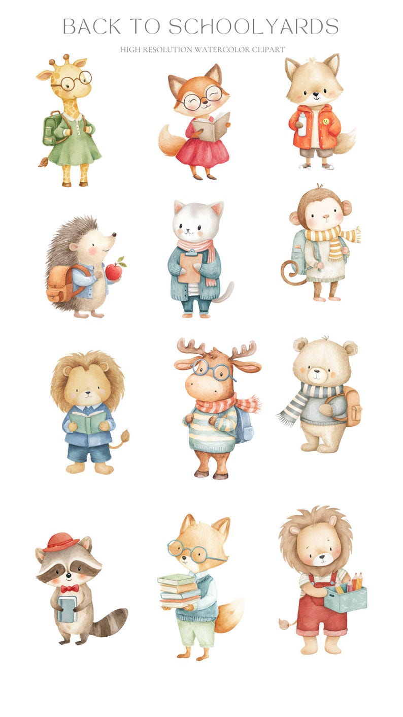 Back to School Animal Clipart: Watercolor Nursery PNG Bundle ...