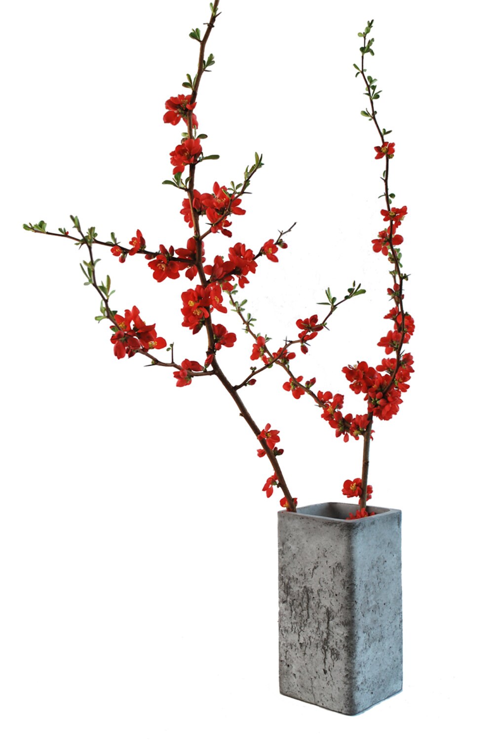 Big vase concrete Etsy