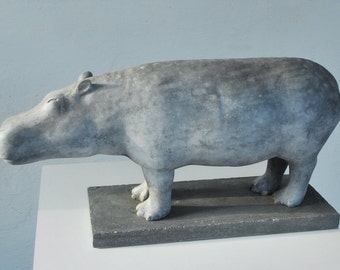 Hippopotamus