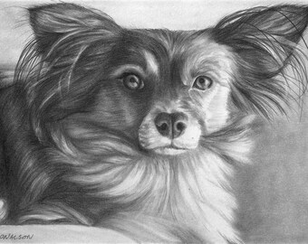 Custom pet portrait - 8x8 or 8x10 graphite drawing on paper of your dog or cat