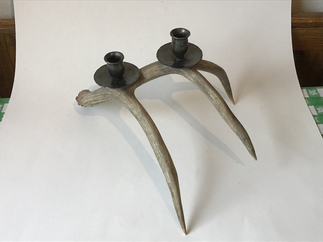 Vintage Taxidermy Real Deer Antler Candle Holder Rustic Cabin Etsy