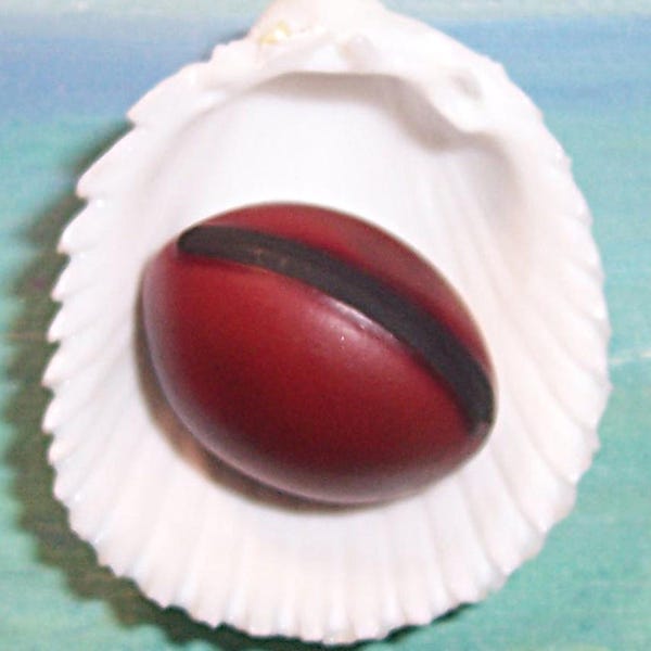 Extremely RARE Dark Red Canavalia nitida CATHIE'S Sea, Ocean Drift Seed, BEAN #3