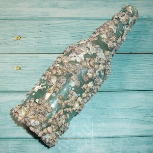 May include: A clear glass bottle covered in barnacles. The bottle has a long neck and a rounded body. The barnacles are beige and clustered, giving the bottle a textured appearance. The bottle is positioned diagonally against a light blue wooden background.