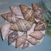 see more listings in the SEASHELLS & BEACH FINDS section
