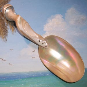 May include: A pearlescent serving spoon with a curved handle and a large, oval bowl. The handle is a light beige color with darker marbling, and the bowl has a shimmering, iridescent quality. The spoon is likely used for serving food.
