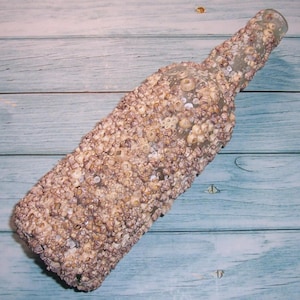 May include: A clear glass bottle encrusted with barnacles. The bottle is covered in small, beige and off-white barnacles, giving it a textured appearance. The bottle is displayed against a light blue wooden background.