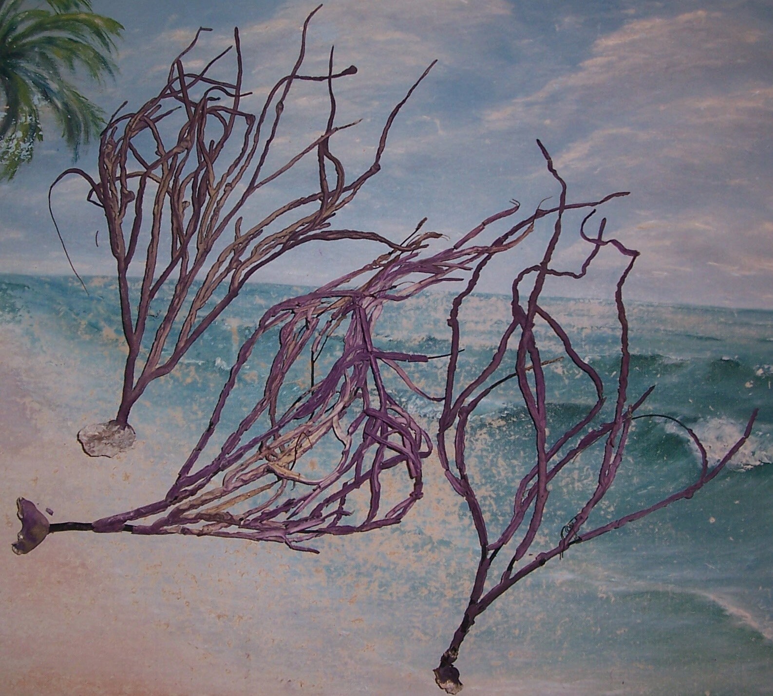 Lot/3 large Spiky Lavender, Purple Gorgonian SEA WHIP, Ribbon Coral False Sea FAN from the Florida Keys (#2)
