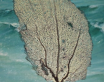 small Natural Yellow & Black Gorgonian SEA FAN Coral from Puerto Rico (#2/86)