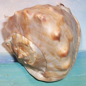 Pode incluir: Uma placa de madeira rústica com o texto "Welcome to our home" em letras brancas. A placa apresenta um acabamento desgastado e um design simples e convidativo, perfeito para a decoração da entrada.