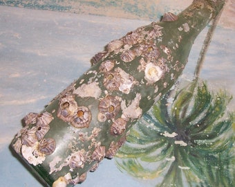 ex-large 12" ANTIQUE, Vintage Aqua OCEAN Found Bottle Encrusted with BARNACLES & Oyster Shells
