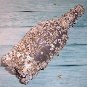 May include: A glass bottle completely covered in a dense layer of small, textured, off-white and tan barnacles. The bottle has a cylindrical body and a narrow neck, with the marine growth creating a rough, uneven surface across the entire exterior.