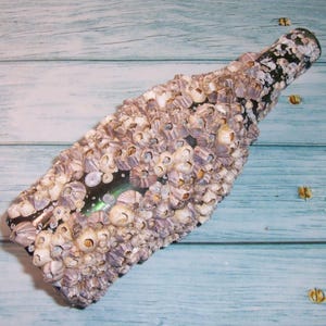 May include: A dark glass bottle completely covered in a dense layer of small, textured, light-colored barnacle shells. The shells vary in size and shape, creating a rough, organic surface that obscures most of the dark bottle underneath.