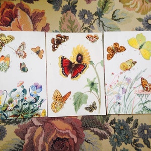 Colorful Vintage German Butterfly prints random selection of 3 image 1