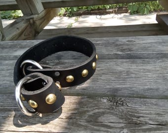 Handcrafted Studded with solid Brass slip dog collar