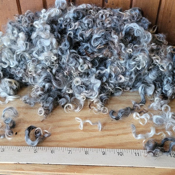 2 oz. Curly Wool Locks Grey  MIx for Needle Felting/small doll hair/2D Wool Painting 2 oz bag