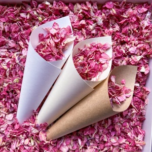 Mix di veri petali di fiori secchi - Coriandoli di petali di fiori rosa scuro - Mix di petali di fiori secchi rosa lampone