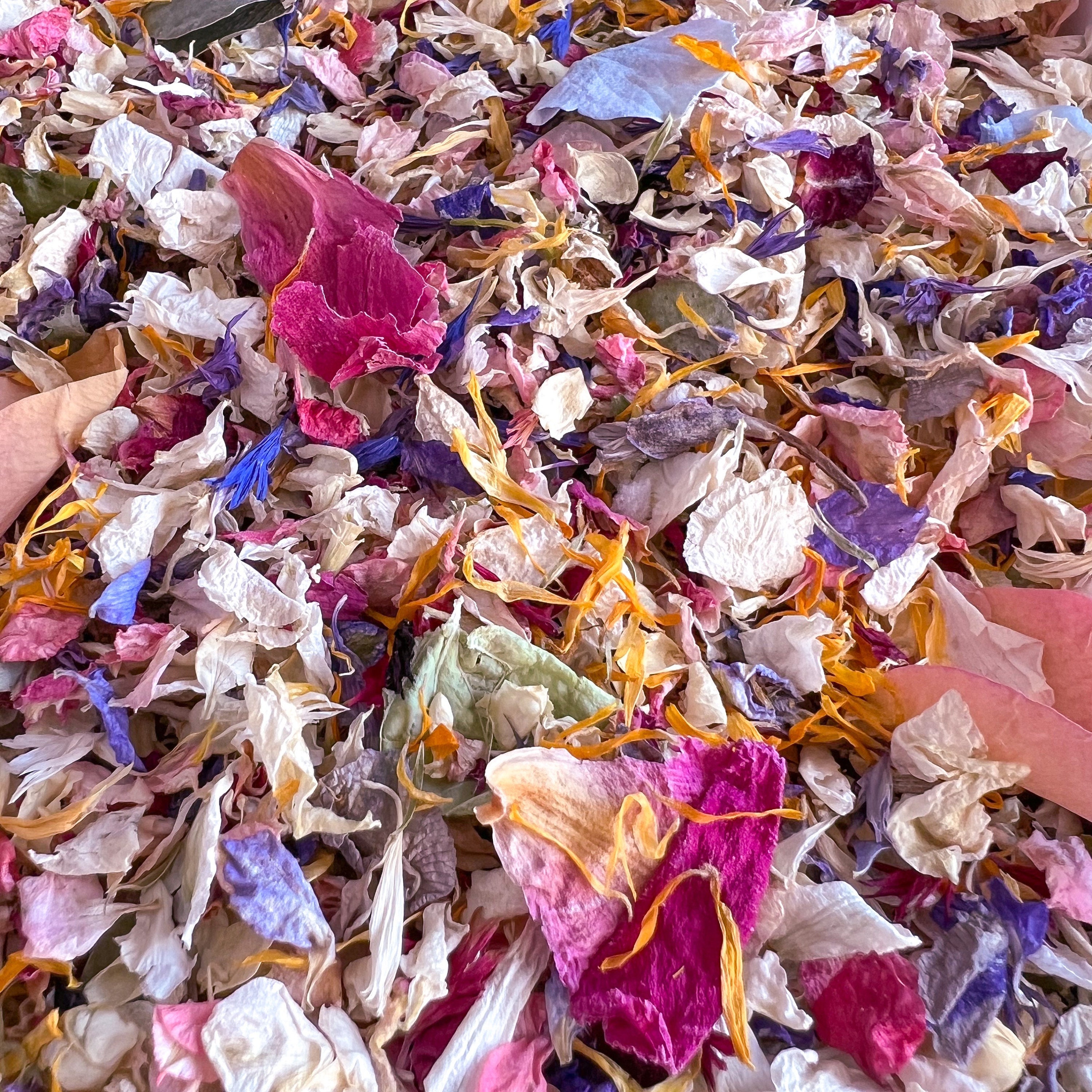 Over The Rainbow – Eco Biodegradable Natural Flower Petal Confetti