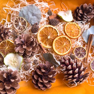 Puede incluir: Una caja decorativa llena de elementos naturales. El arreglo incluye rodajas de naranja secas, pi&ntilde;as, palitos de canela y rodajas de manzana secas, todo ello en relleno de papel. La paleta de colores es c&aacute;lida, con marrones, naranjas y verdes.