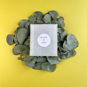 Biodegradable Eucalyptus Wedding Confetti Pack