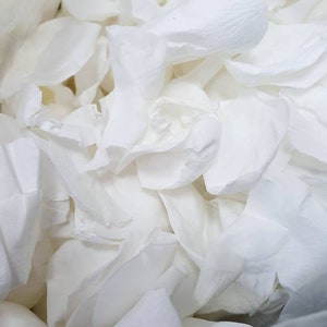 White Rose Petals | Biodegradable Confetti