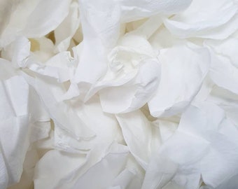 White Rose Petals | Biodegradable Confetti