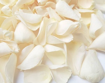 Ivory Rose Petal,  Freeze Dry Flower, Wedding Confetti